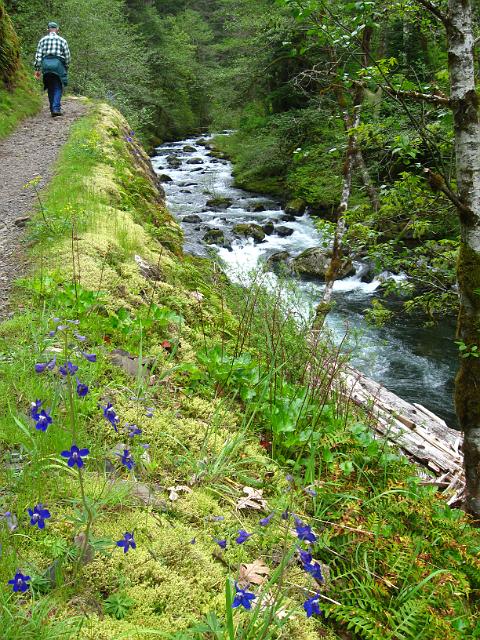 Eagle Creek-149.JPG - Eagle Creek